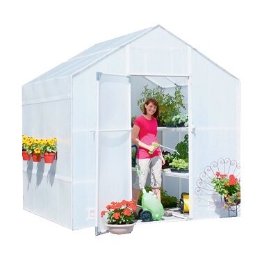 Solexx Garden Mater Greenhouse - Dimensions 8&apos; x 8&apos; x 8&apos; 9"